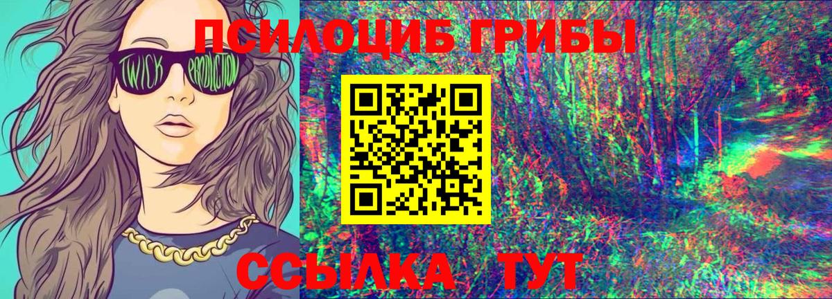 Кузнецк  Галлюциногенные грибы ЛСД  Вход с VPN  что такое   Псилоцибиновые грибы Cubensis 
